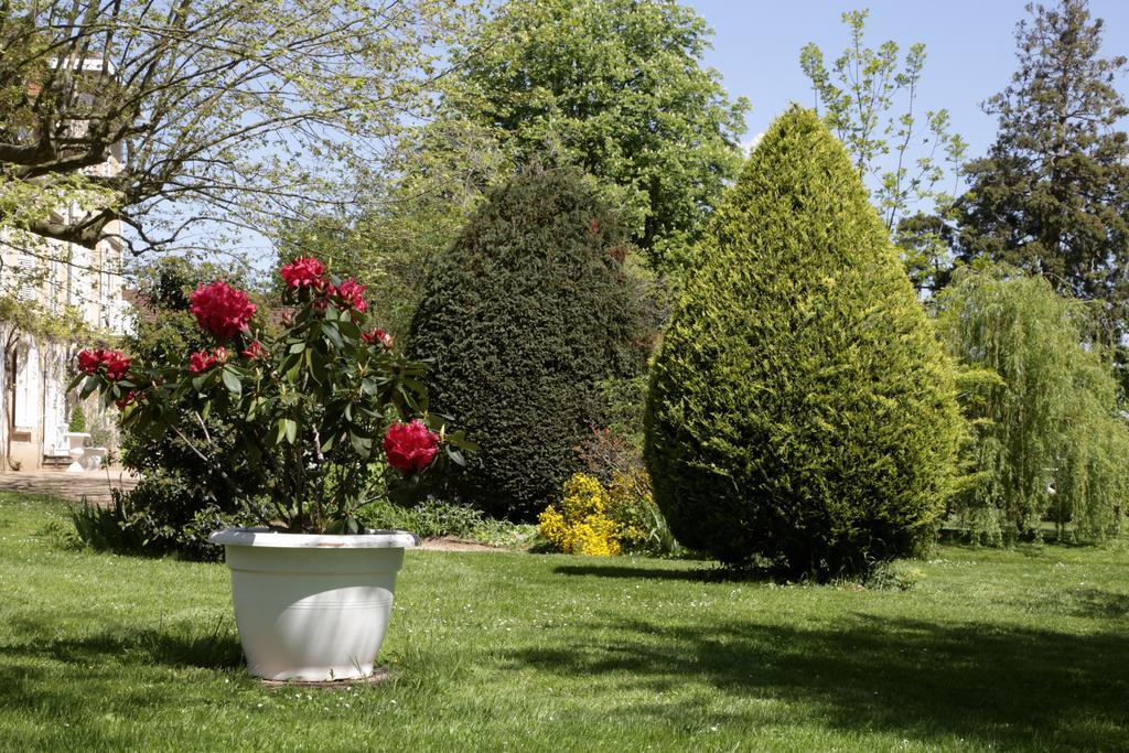 Bed and Breakfast Chateau De La Flechere Blacé Exterior foto