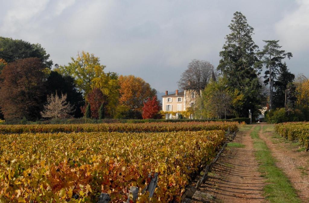 Bed and Breakfast Chateau De La Flechere Blacé Exterior foto